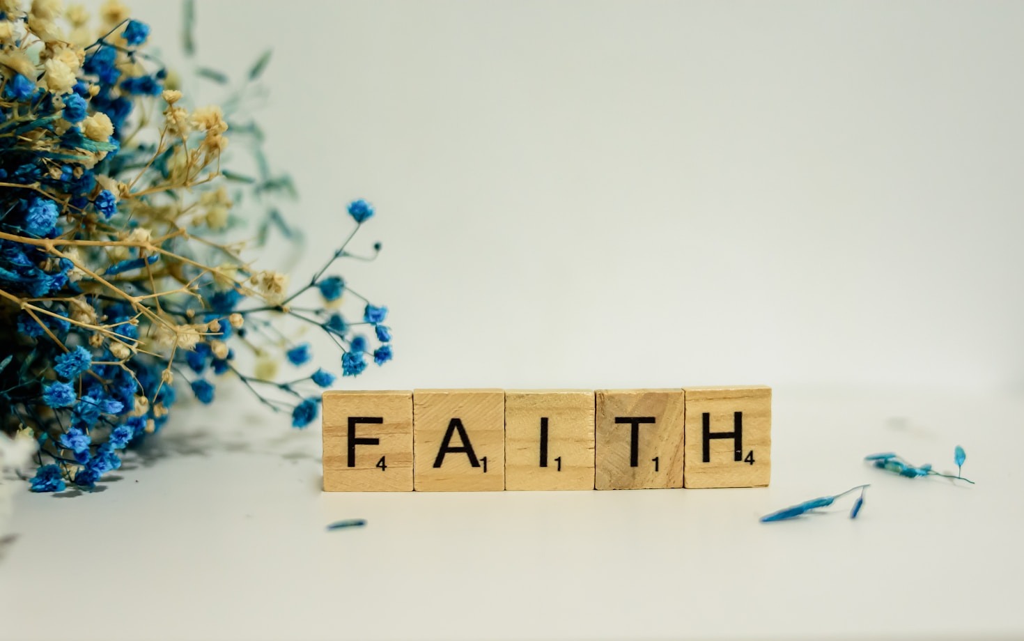 Faith Journeys: Stories from Catholic Explorers