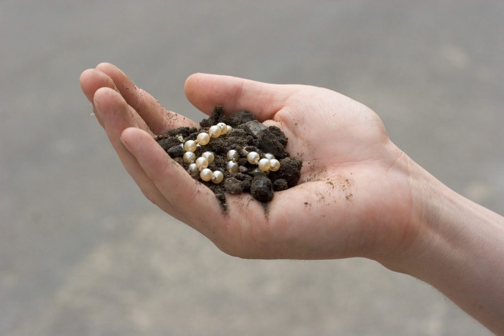 A hand holding dirt and pearls AI-generated content may be incorrect.