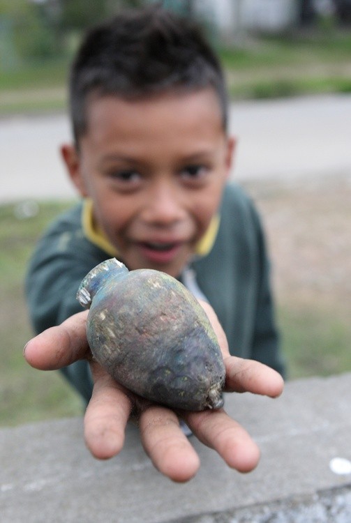 A child holding a blue object AI-generated content may be incorrect.