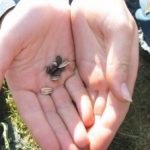 Will nothing happen?