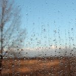 Water drops on a window AI-generated content may be incorrect.