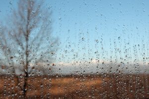 Water drops on a window AI-generated content may be incorrect.